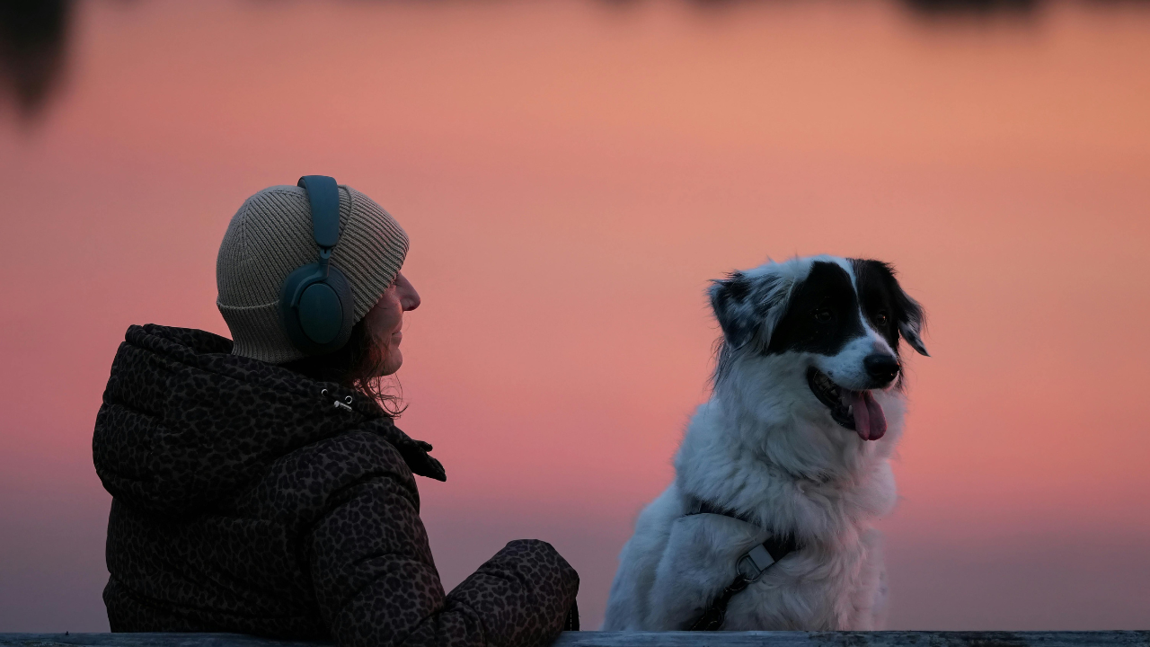 Balades d’hiver avec son chien : séchage et bonnet